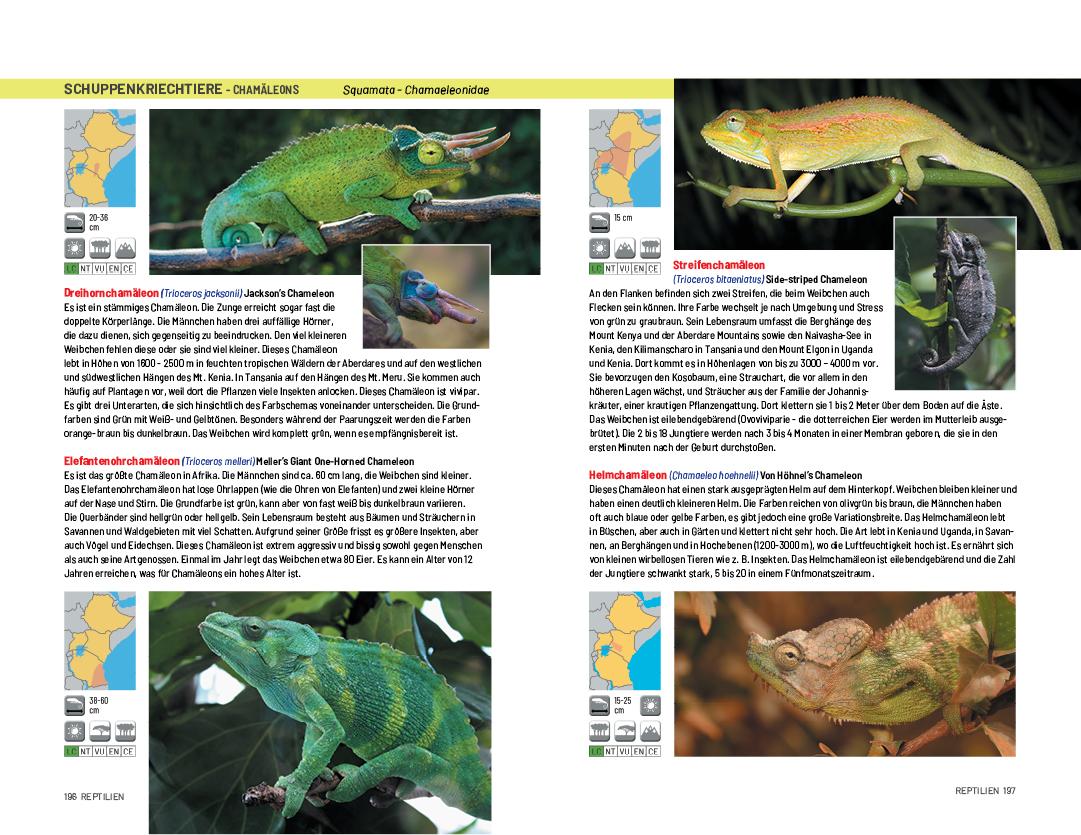 Beispielinhalt (Bild) Safari-Reiseführer Ostafrika