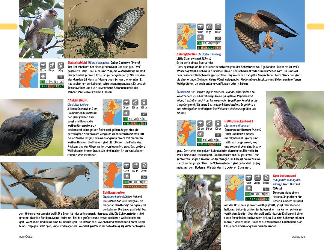 Beispielinhalt (Bild) Safari-Reiseführer Ostafrika