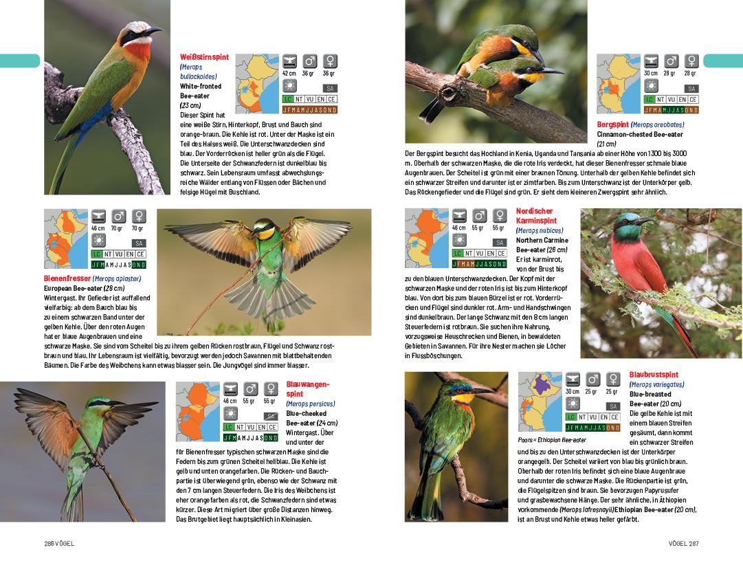 Beispielinhalt (Bild) Safari-Reiseführer Ostafrika
