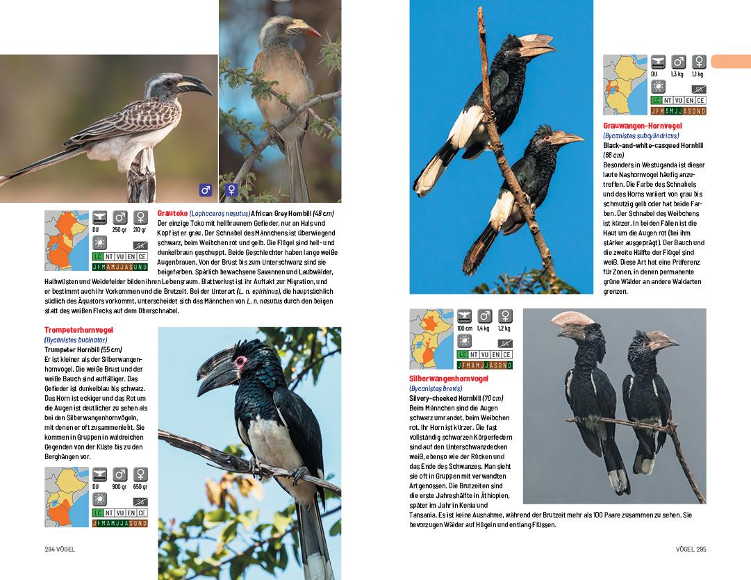 Beispielinhalt (Bild) Safari-Reiseführer Ostafrika