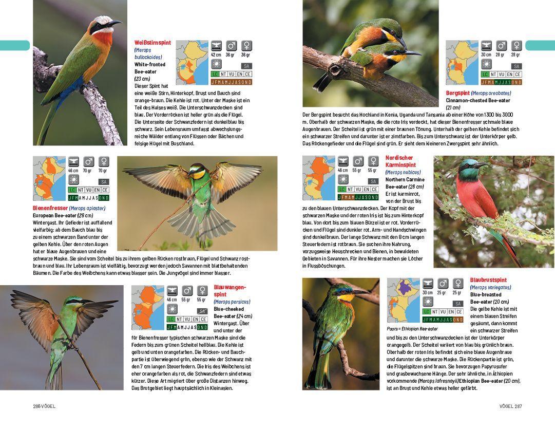 Beispielinhalt (Bild) Safari-Reiseführer Ostafrika