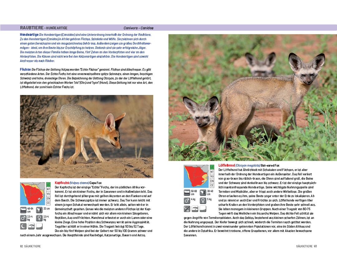 Beispielinhalt (Bild) Safari-Reiseführer Südliches Afrika