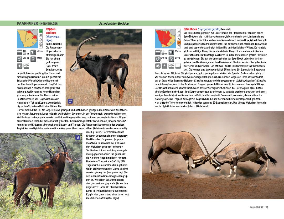 Beispielinhalt (Bild) Safari-Reiseführer Südliches Afrika