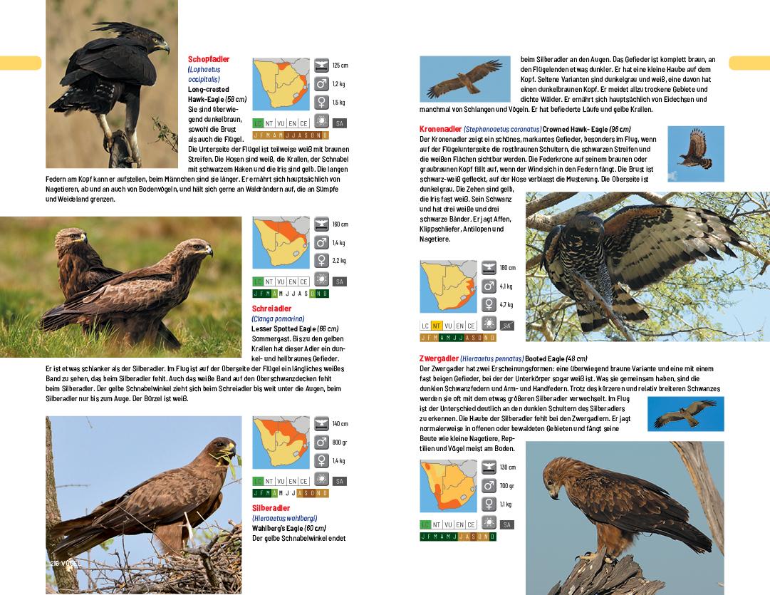 Beispielinhalt (Bild) Safari-Reiseführer Südliches Afrika