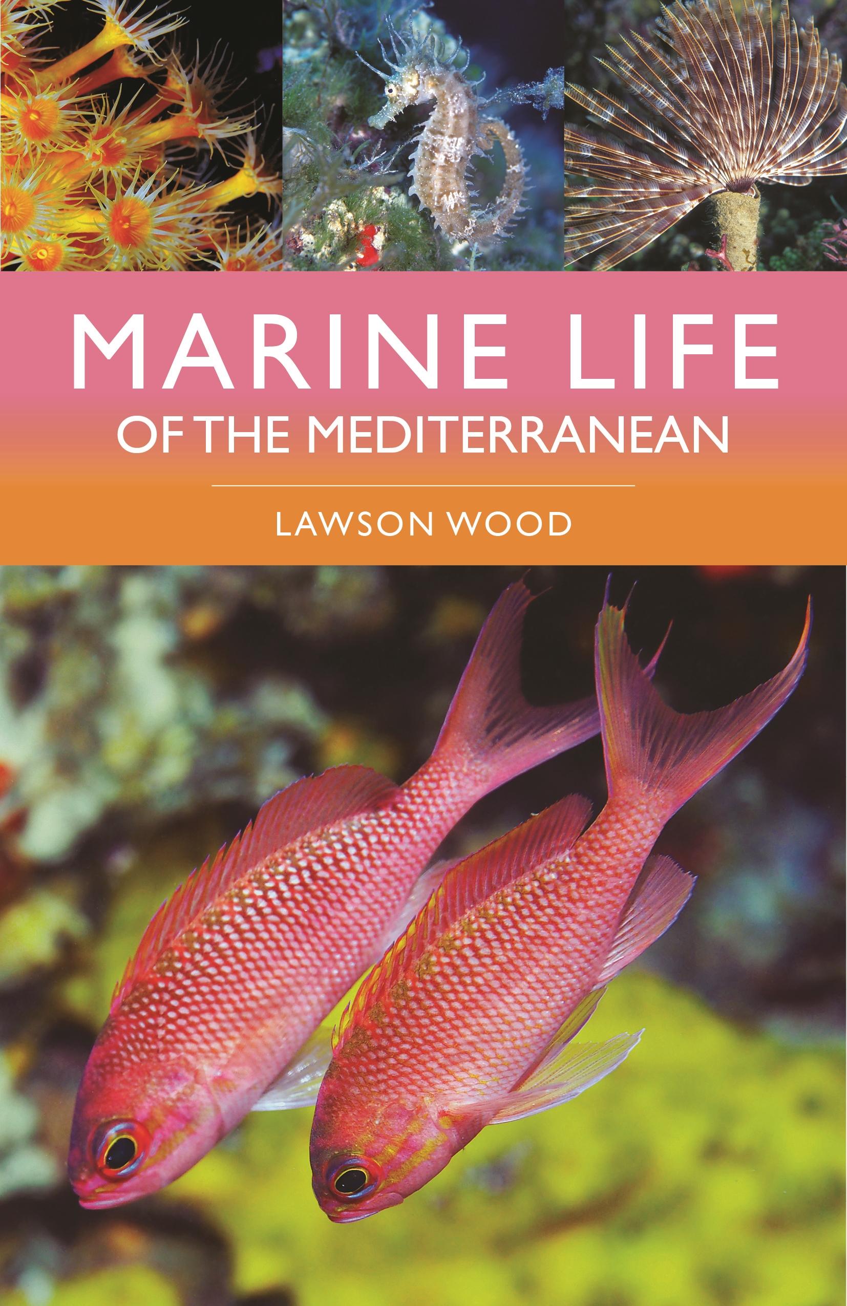 Vorderes Coverbild Marine Life of the Mediterranean