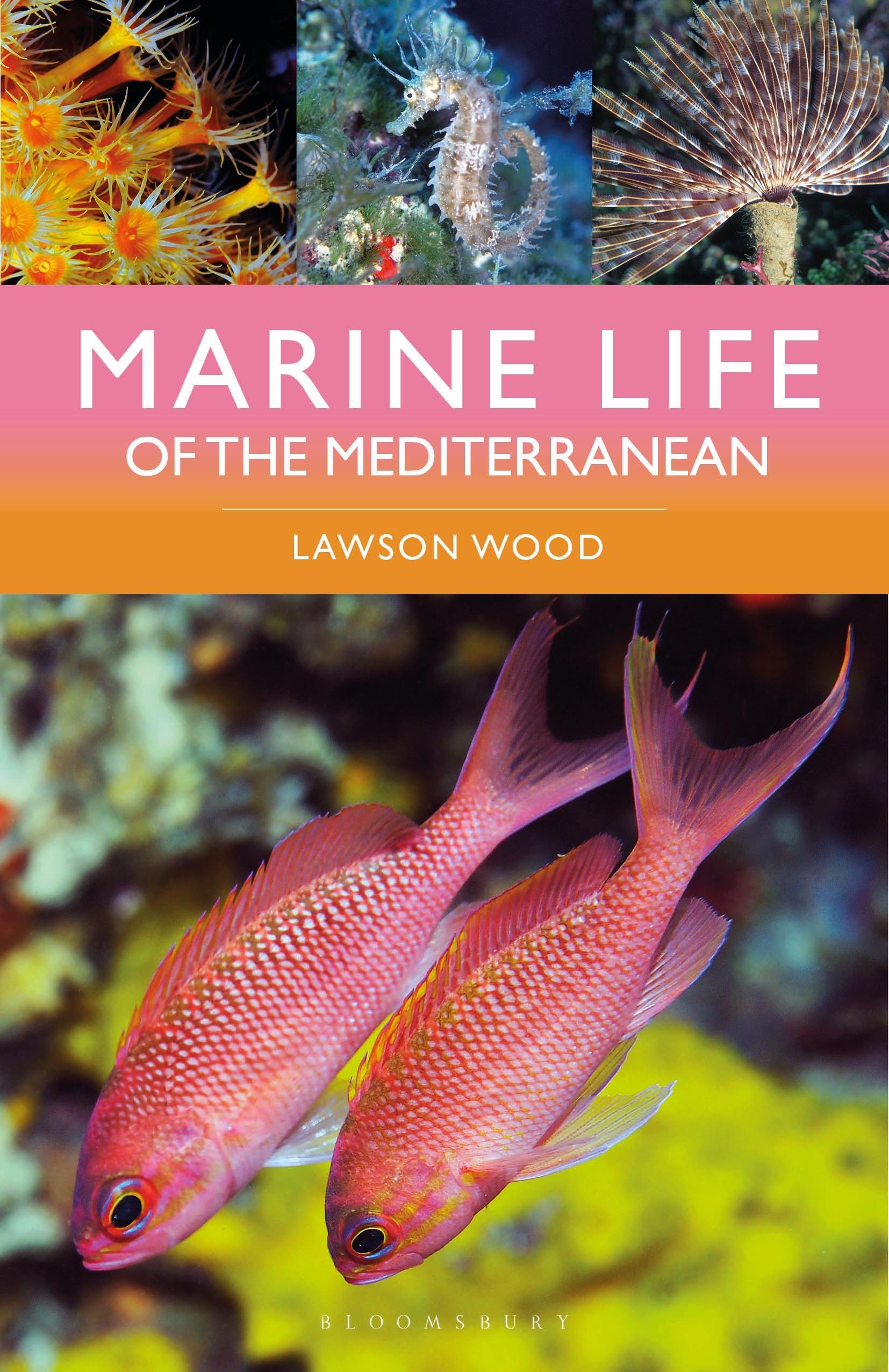 Autorenbild Marine Life of the Mediterranean