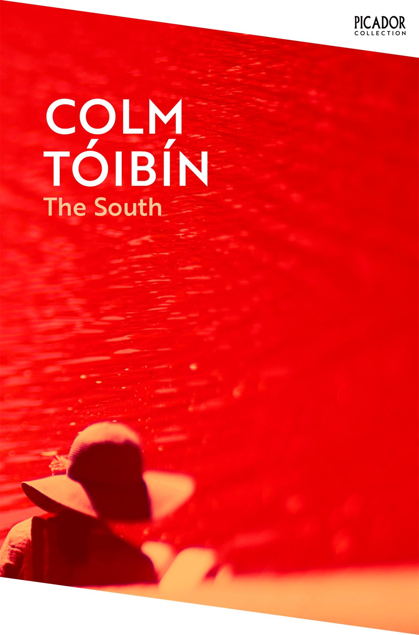 Vorderes Coverbild The South