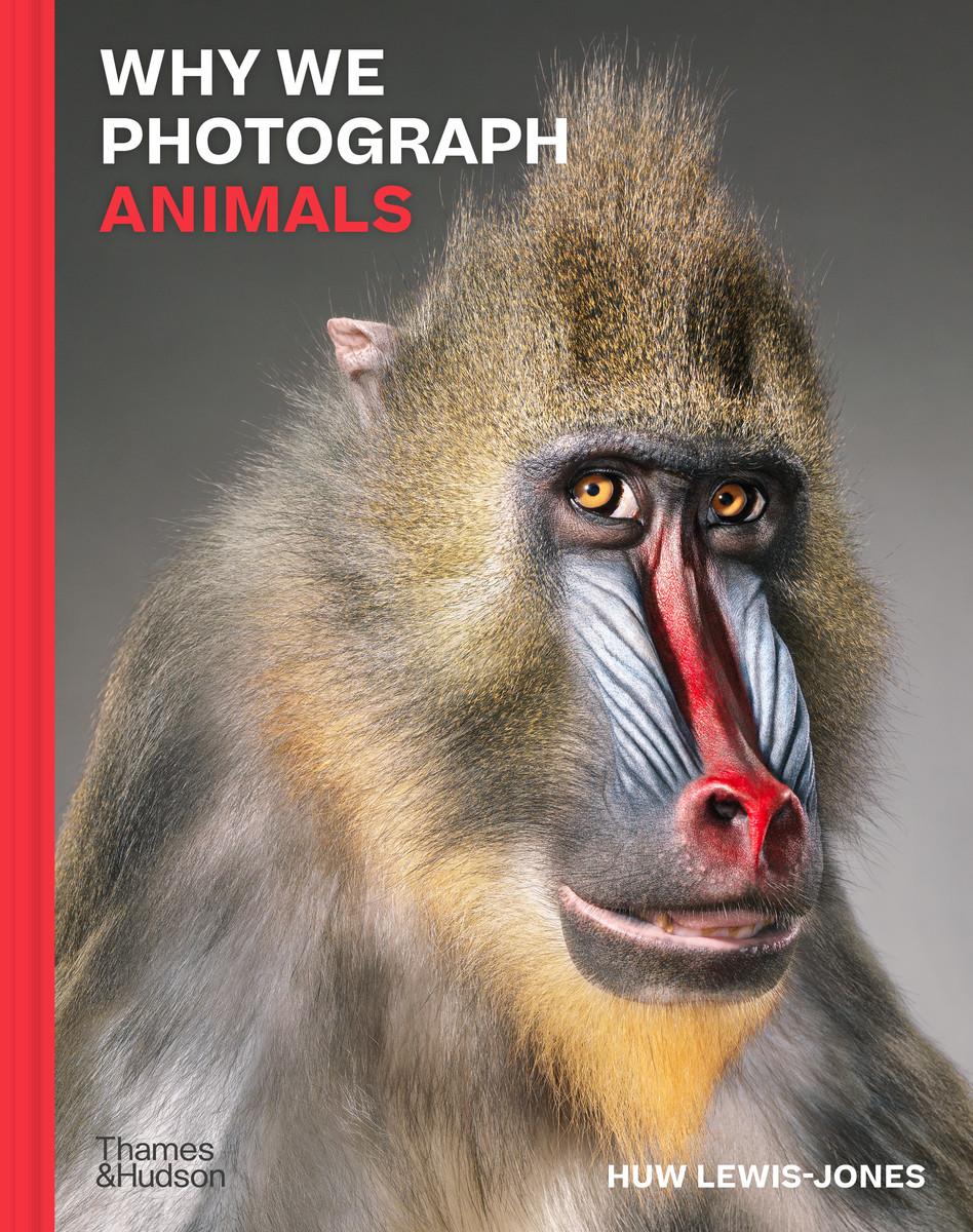 Vorderes Coverbild Why We Photograph Animals