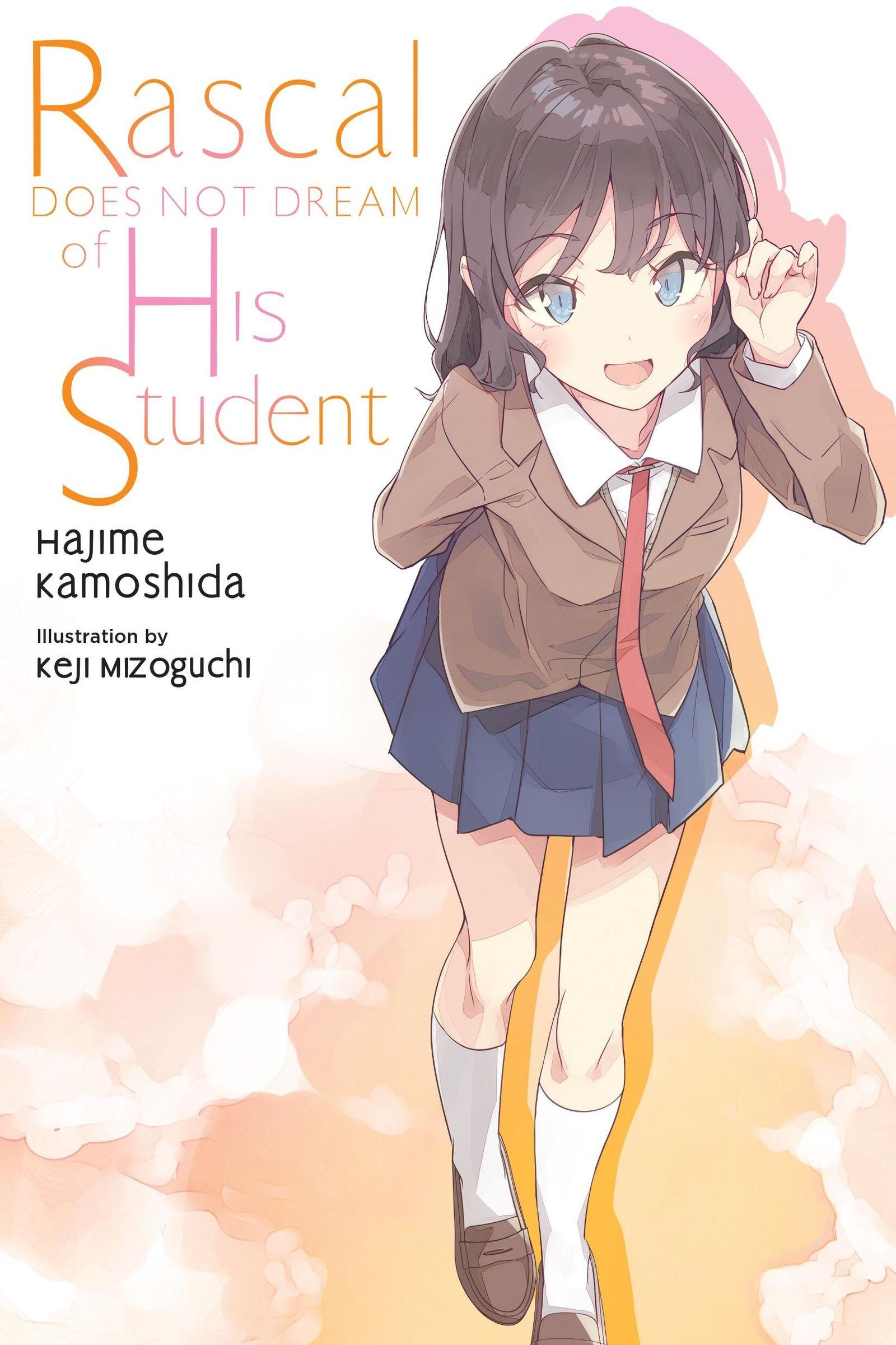 Vorderes Coverbild Rascal Does Not Dream of His Student (Light Novel)
