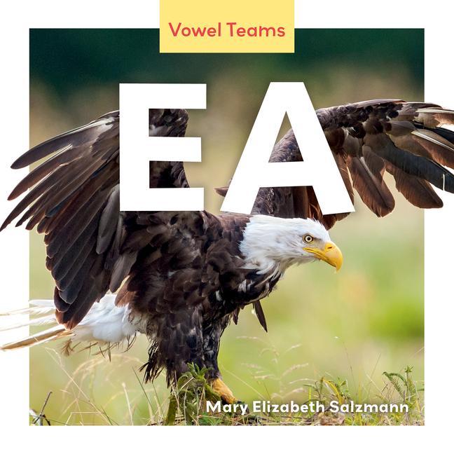 Vorderes Coverbild EA