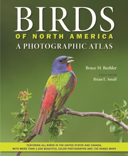 Vorderes Coverbild Birds of North America