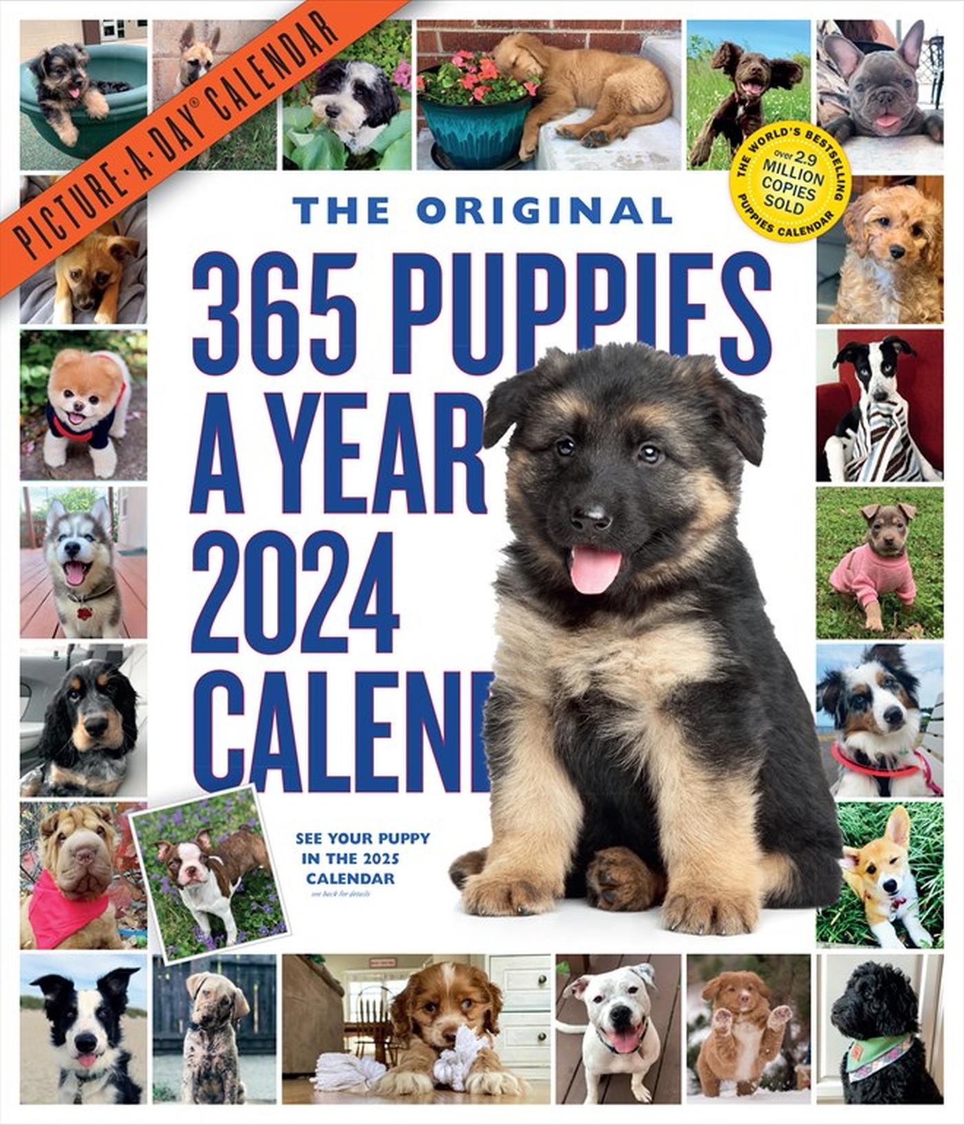 Vorderes Coverbild 365 Puppies-A-Year Picture-A-Day Wall Calendar 2024