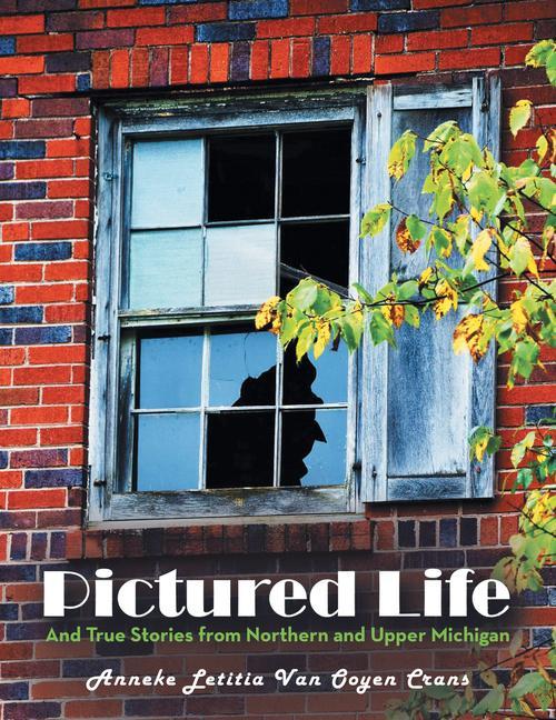 Vorderes Coverbild Pictured Life