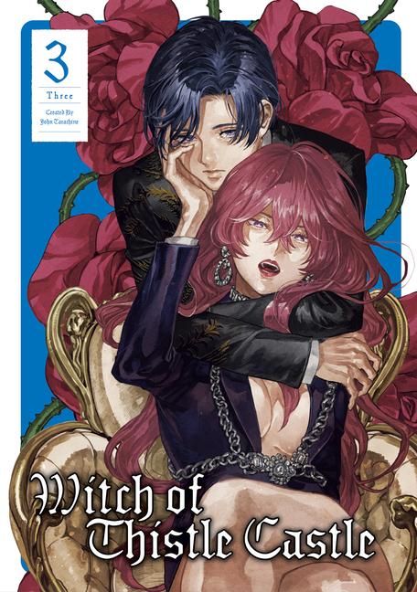 Vorderes Coverbild Witch of Thistle Castle Vol.3