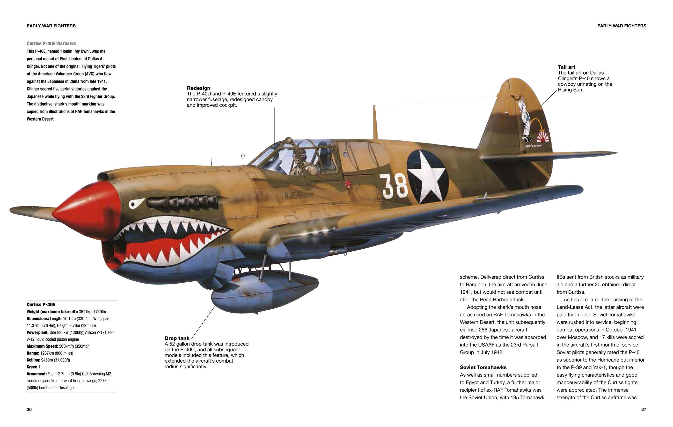 Beispielinhalt (Bild) American Fighter Aircraft of World War II