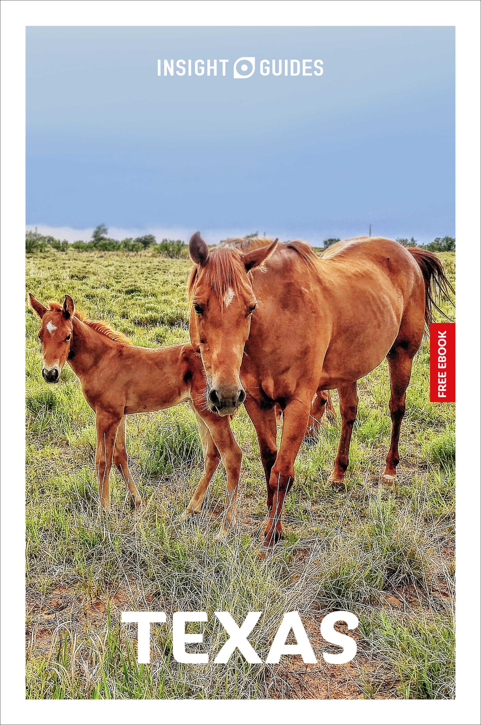 Vorderes Coverbild Insight Guides Texas: Travel Guide with eBook