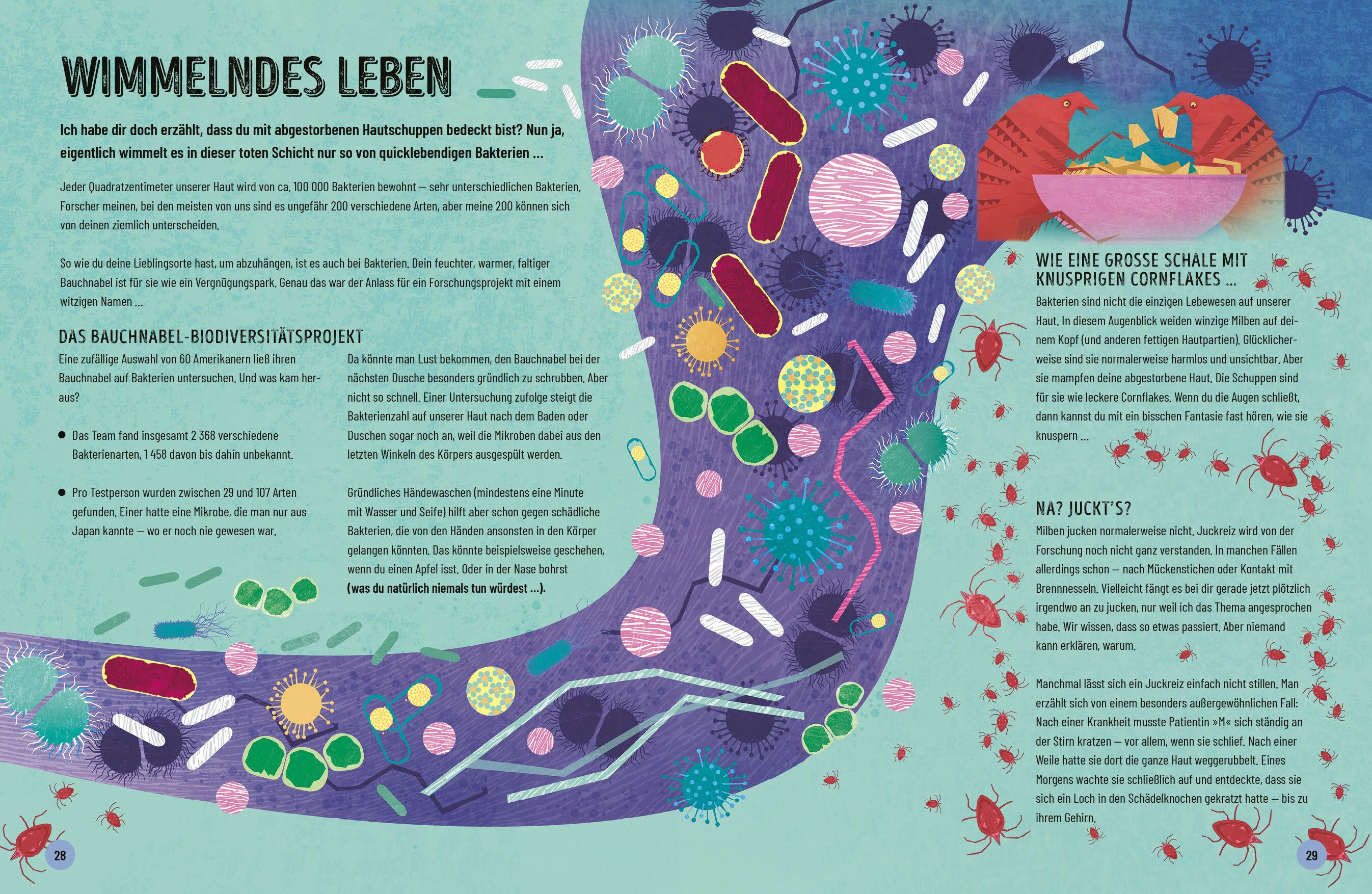 Beispielinhalt (Bild) Eine kurze Geschichte des menschlichen Körpers - Eine atemberaubende Reise von der Nasenspitze bis zum großen Zeh