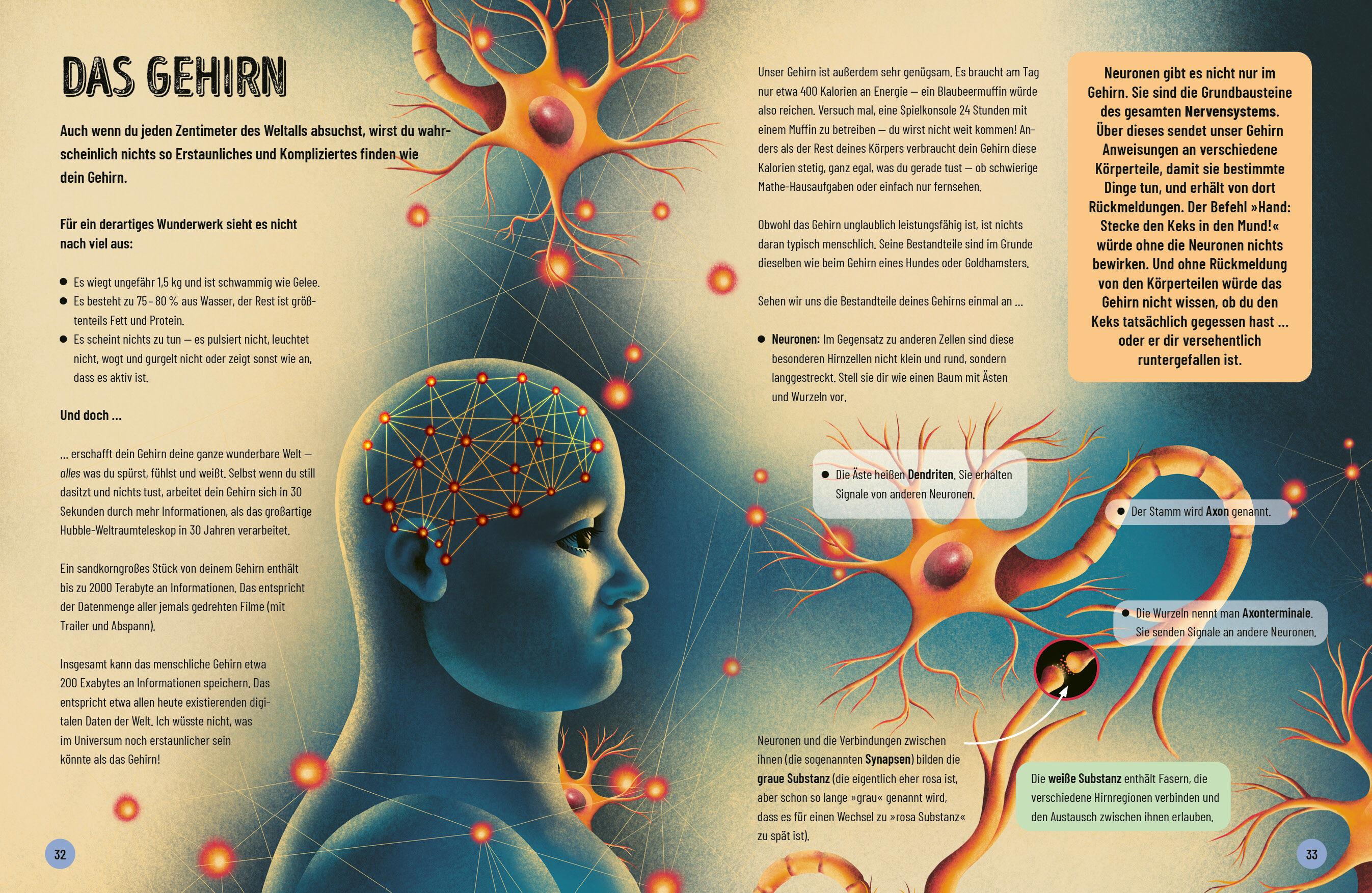 Beispielinhalt (Bild) Eine kurze Geschichte des menschlichen Körpers - Eine atemberaubende Reise von der Nasenspitze bis zum großen Zeh