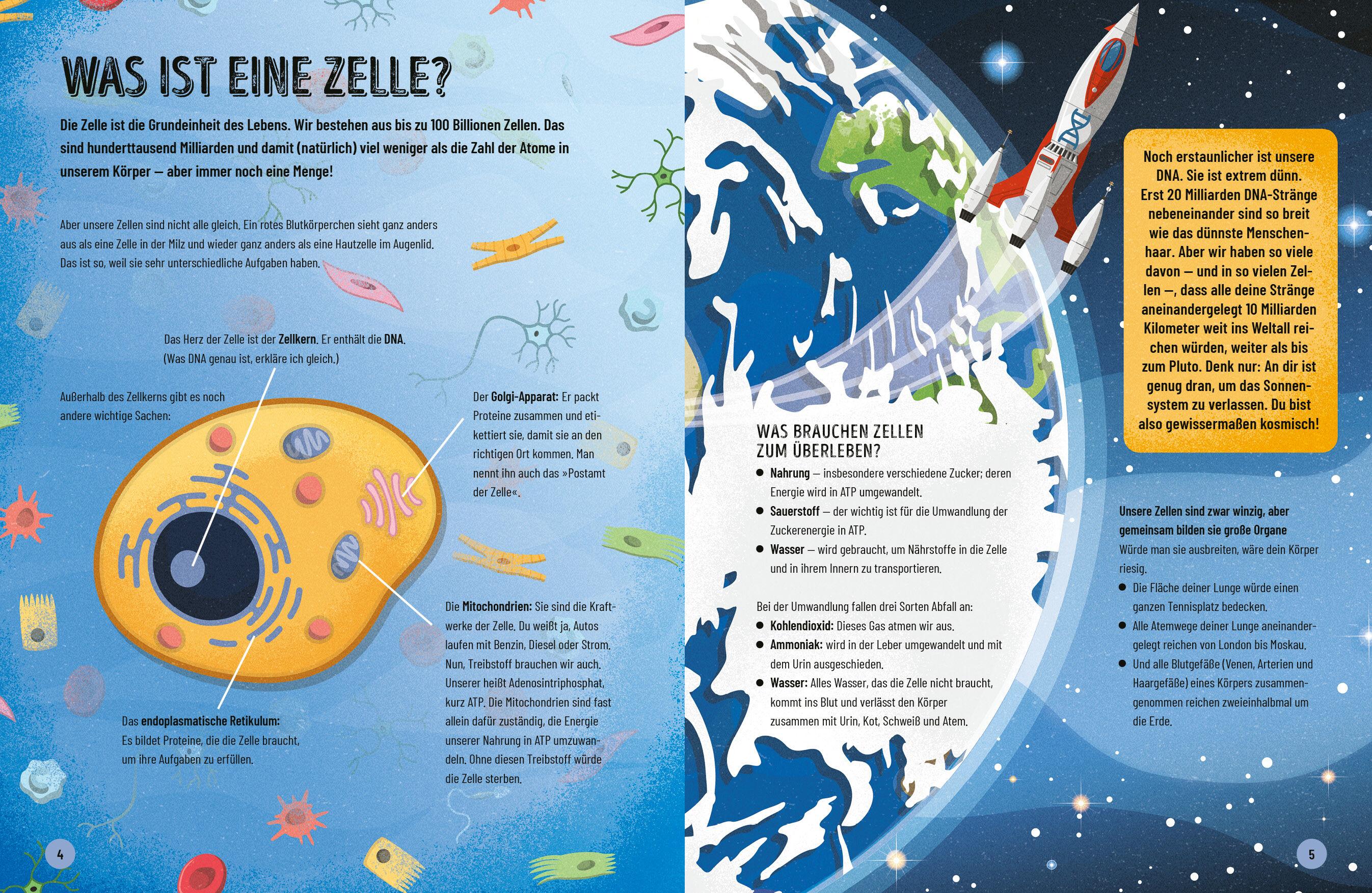 Beispielinhalt (Bild) Eine kurze Geschichte des menschlichen Körpers - Eine atemberaubende Reise von der Nasenspitze bis zum großen Zeh