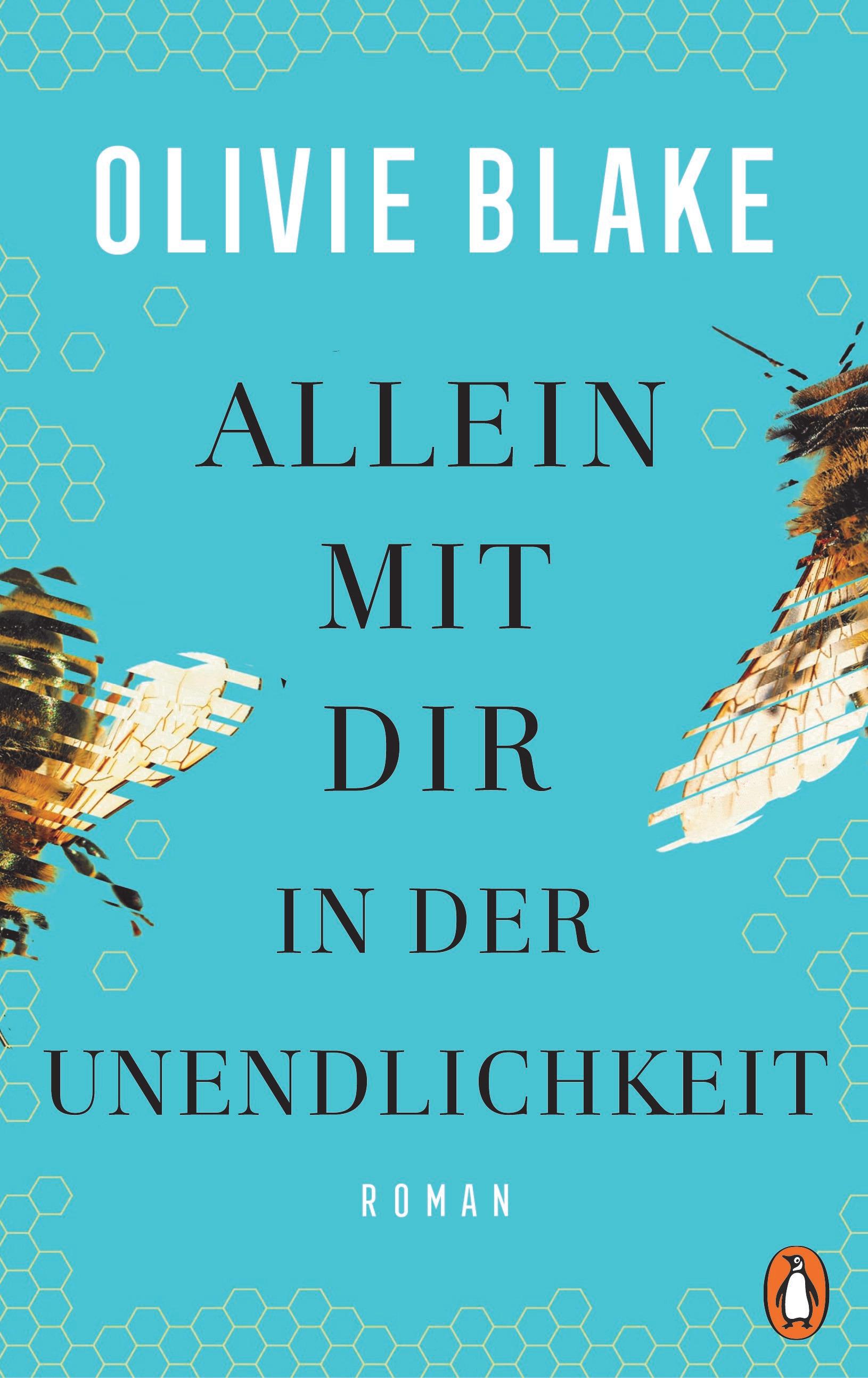 Vorderes Coverbild Allein mit dir in der Unendlichkeit