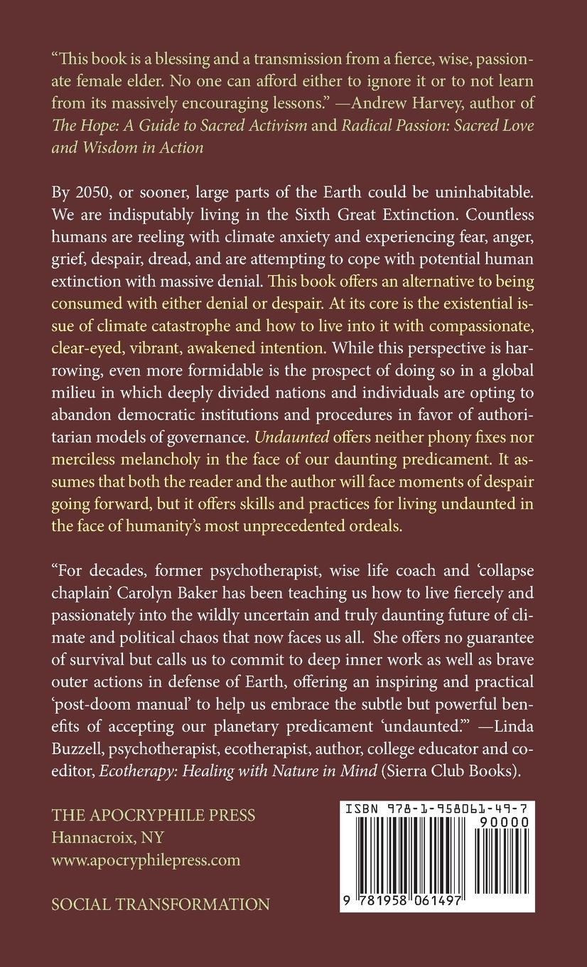 Rückseitencover Undaunted