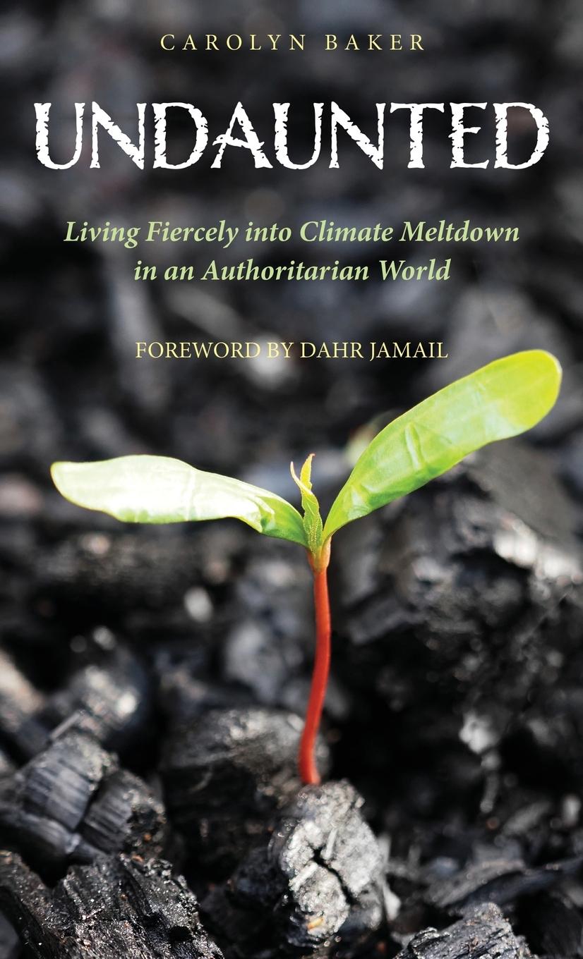 Vorderes Coverbild Undaunted