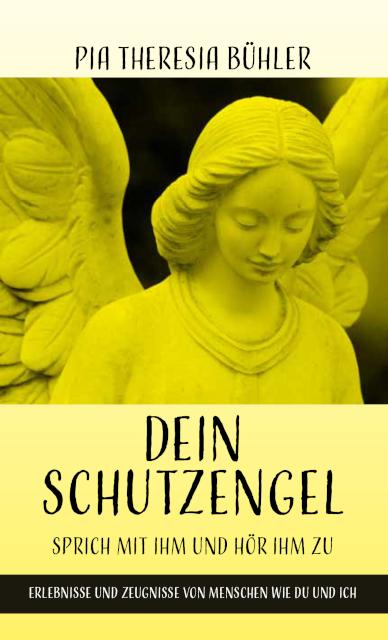Vorderes Coverbild Dein Schutzengel - Sprich mit ihm und hör ihm zu