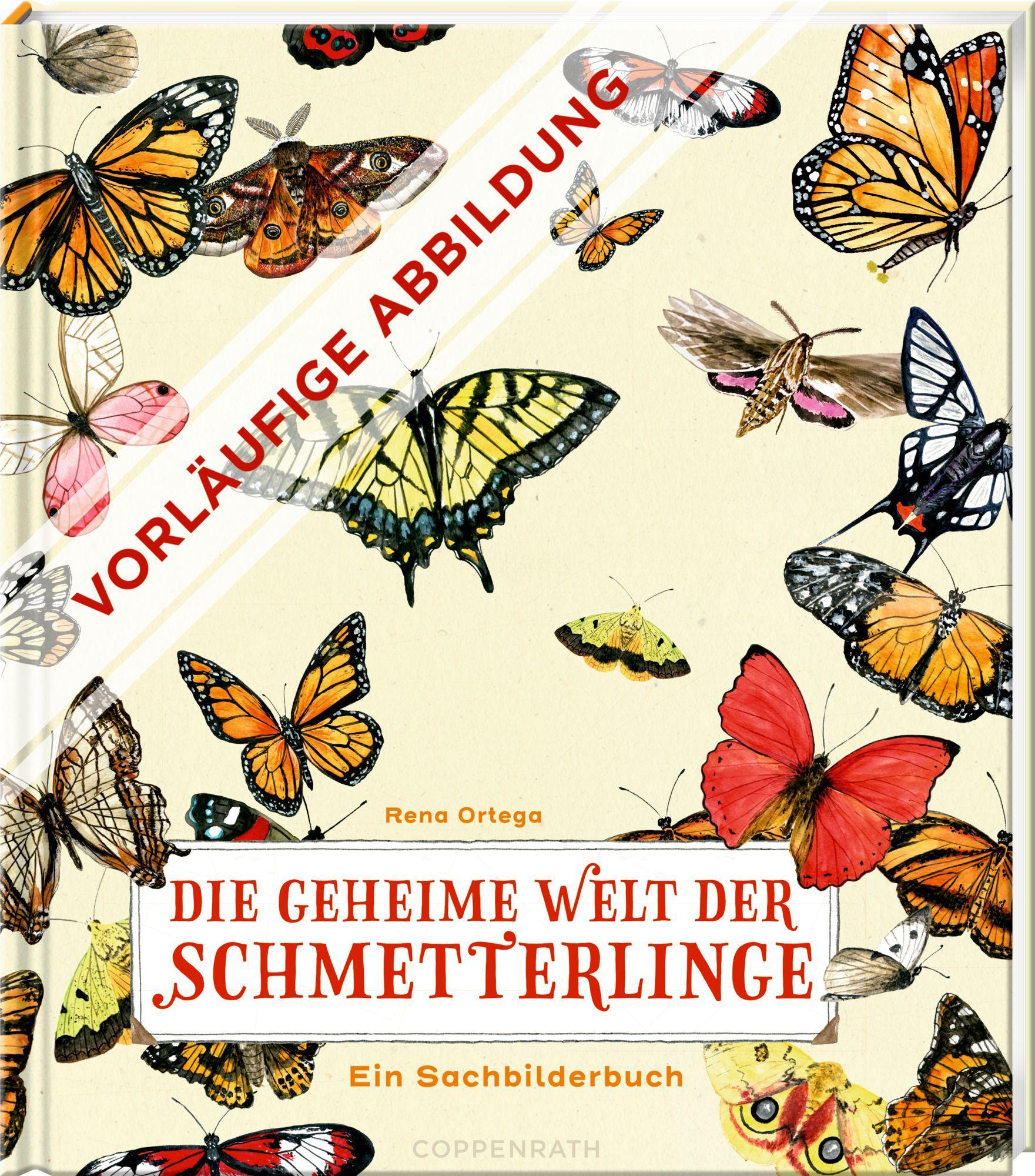 Vorderes Coverbild Die geheime Welt der Schmetterlinge