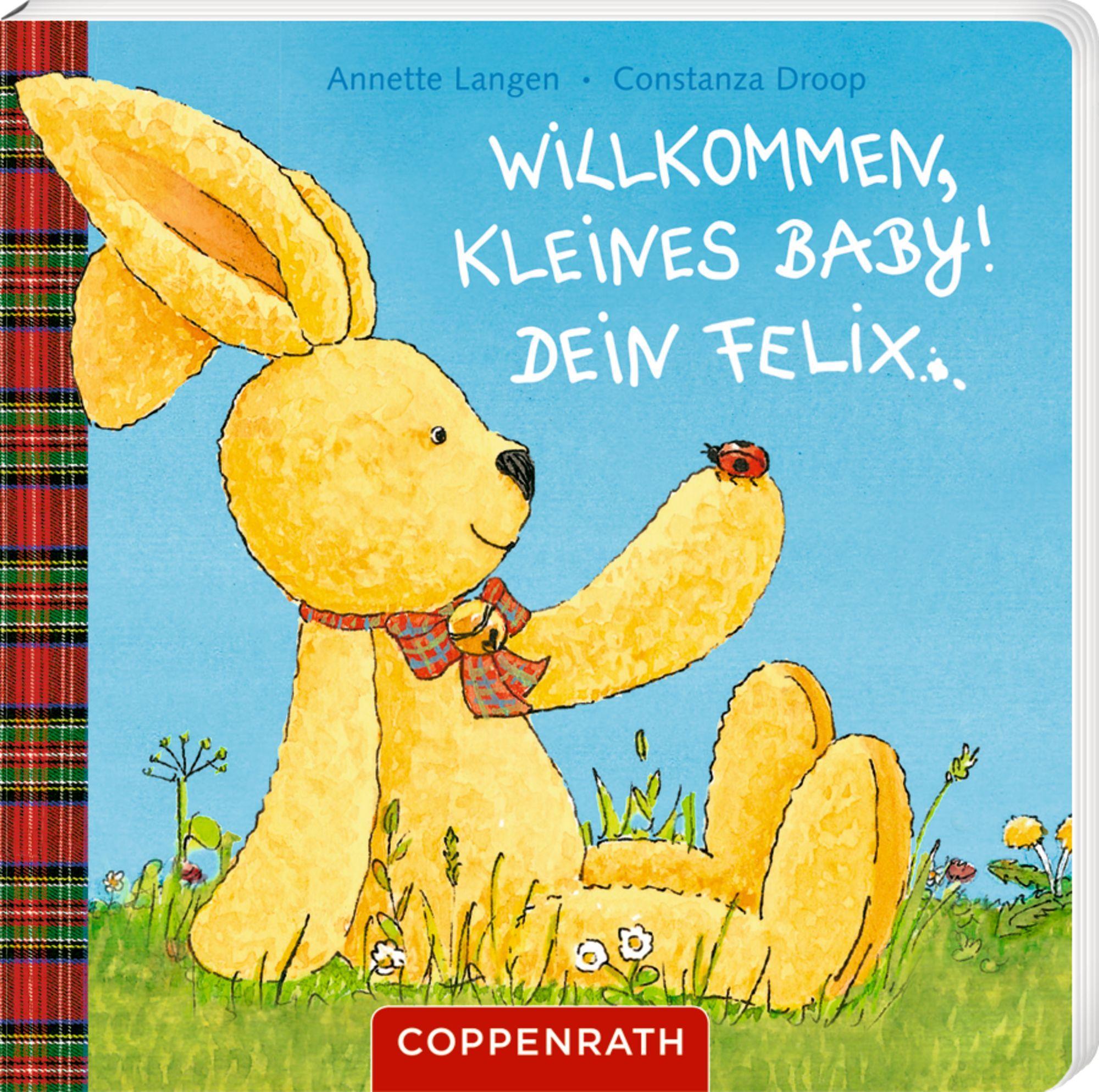 Beispielinhalt (Bild) Willkommen, kleines Baby! Dein Felix