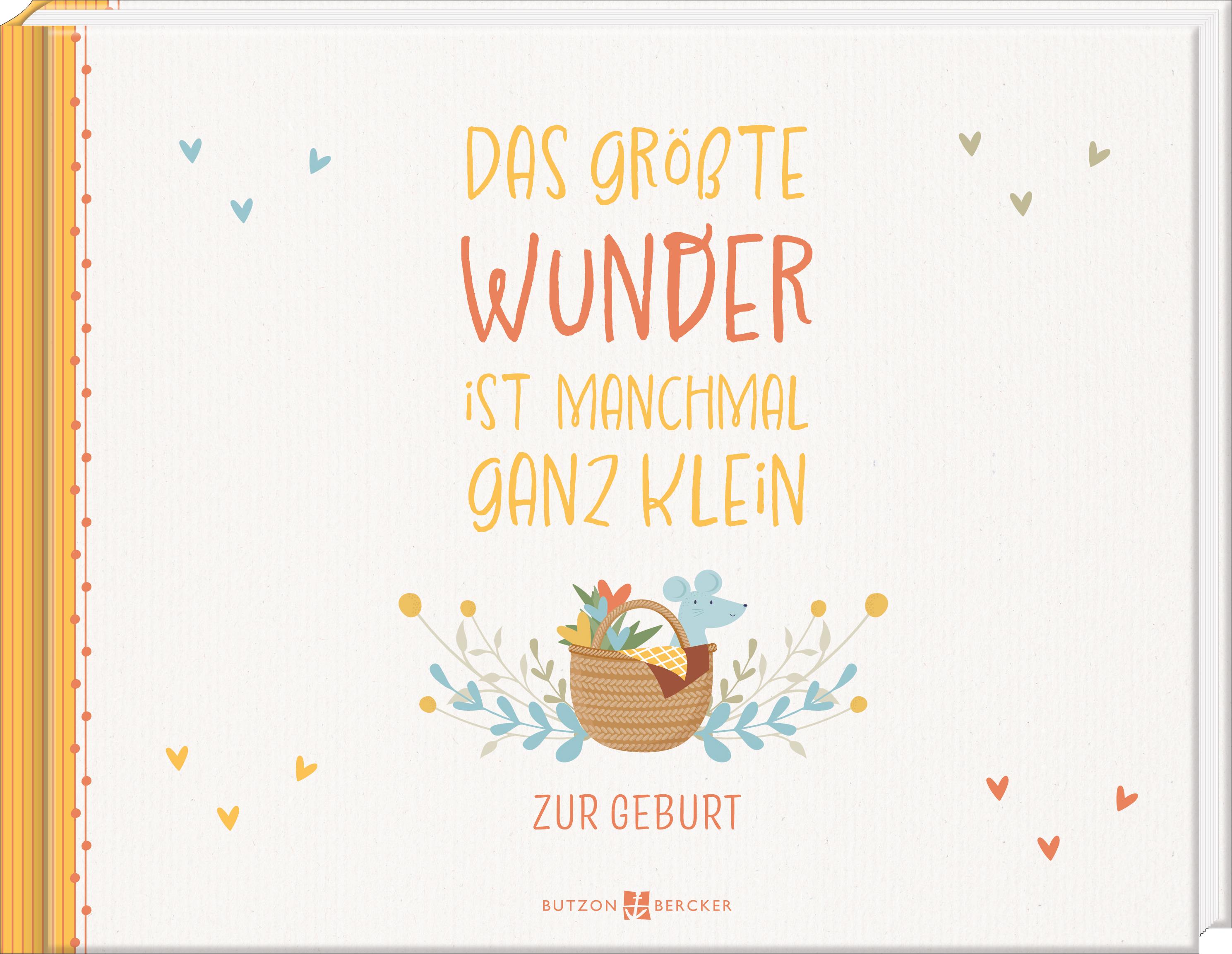 Vorderes Coverbild Das größte Wunder ist manchmal ganz klein