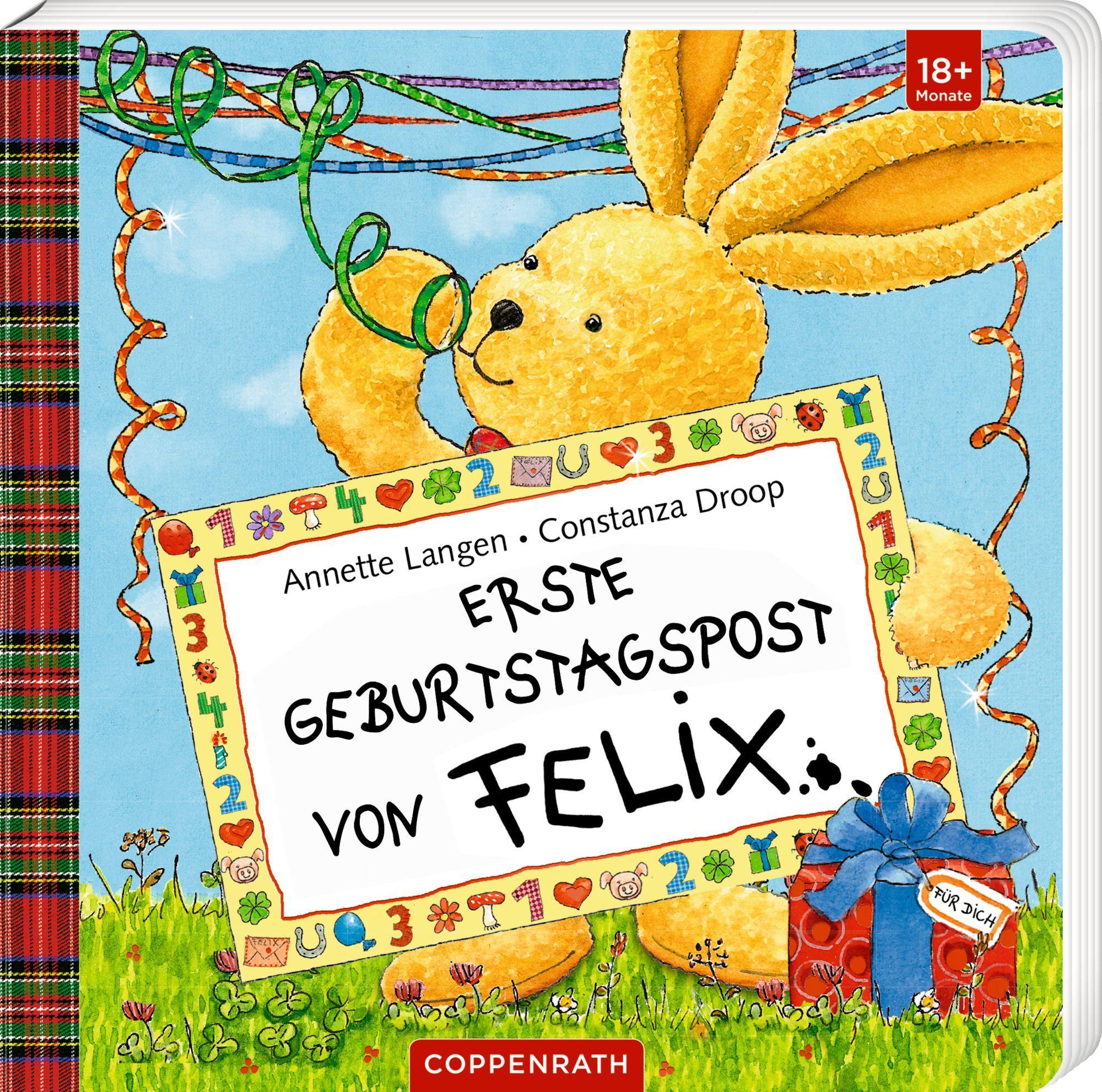 Vorderes Coverbild Erste Geburtstagspost von Felix