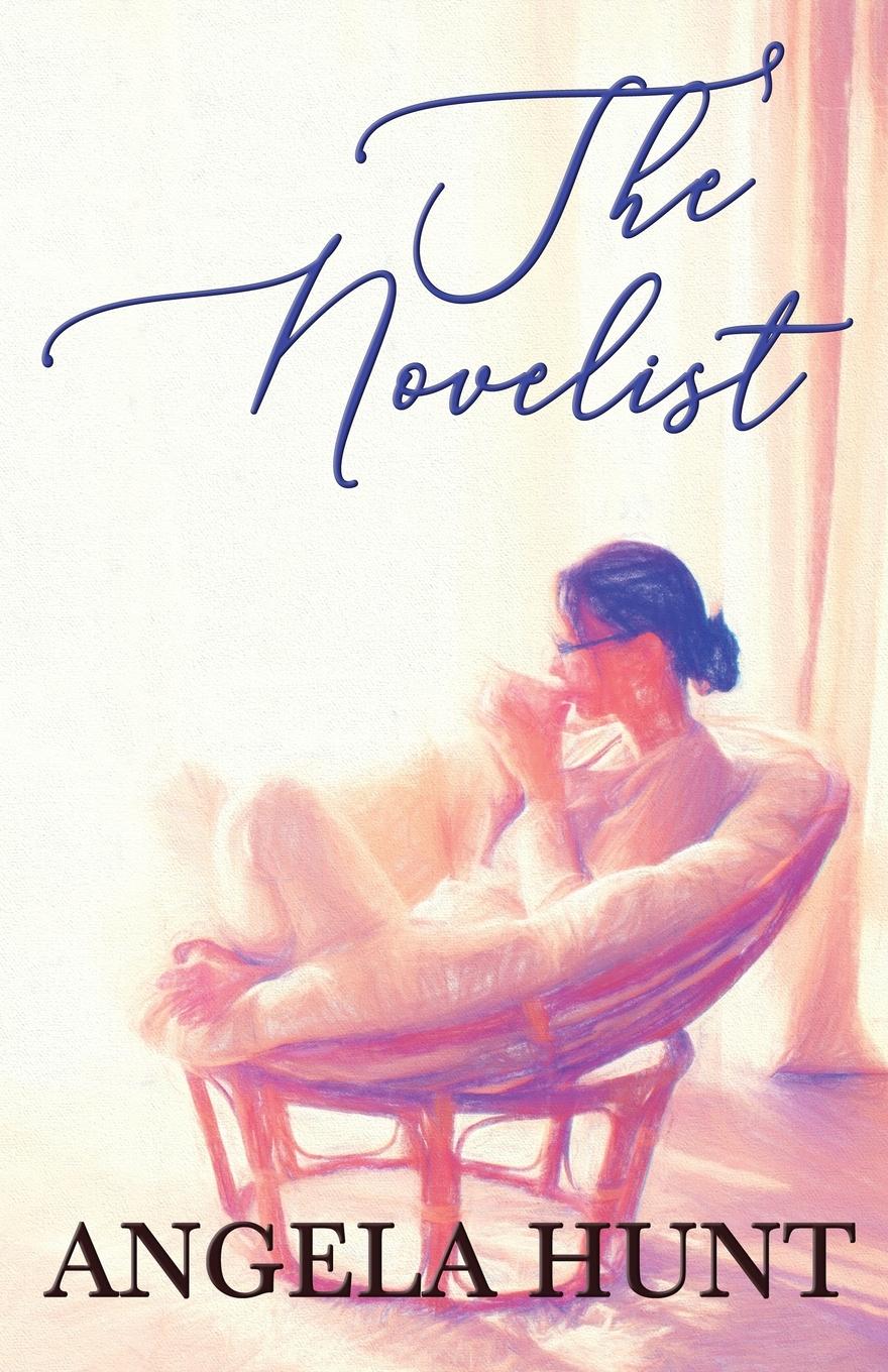 Vorderes Coverbild The Novelist
