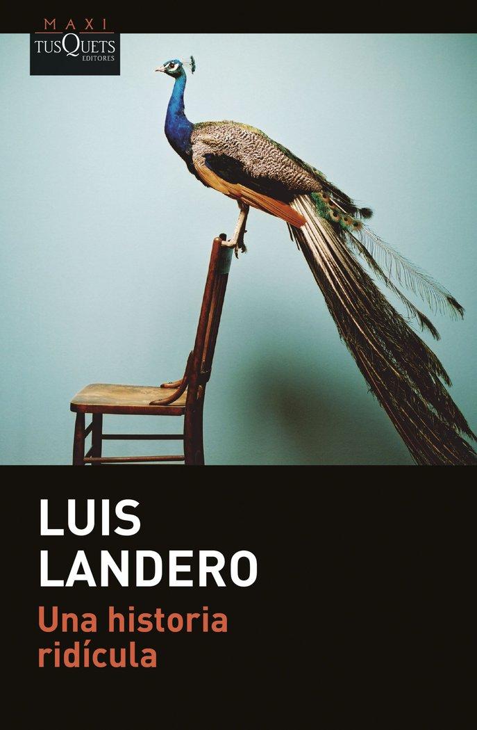 Vorderes Coverbild Una historia ridicula