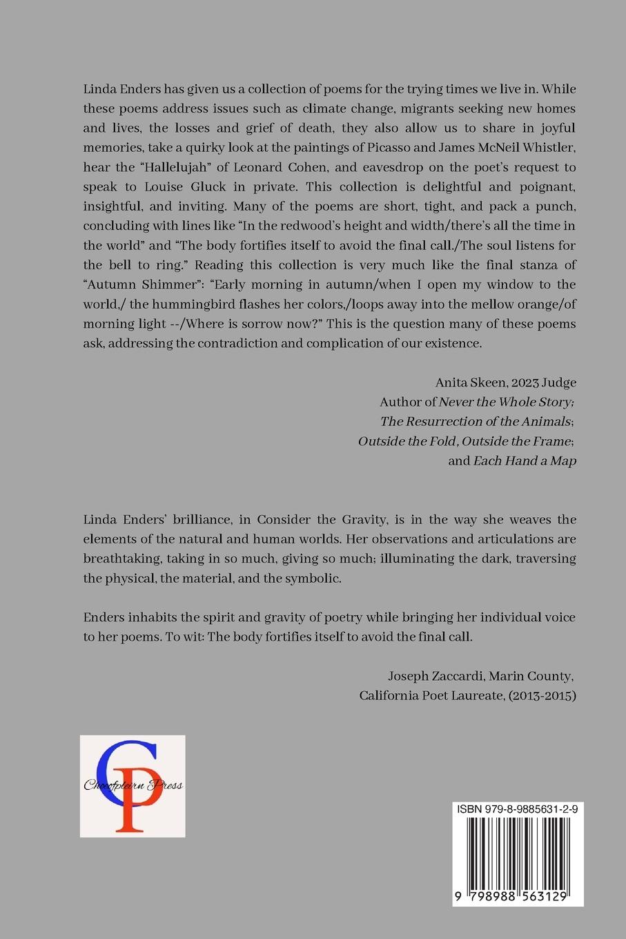 Rückseitencover Consider the Gravity