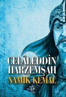 Vorderes Coverbild Celaleddin Harzemsah