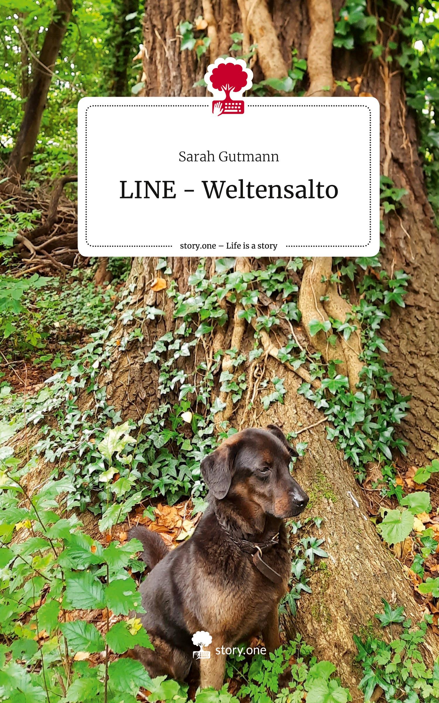 Vorderes Coverbild LINE - Weltensalto. Life is a Story - story.one