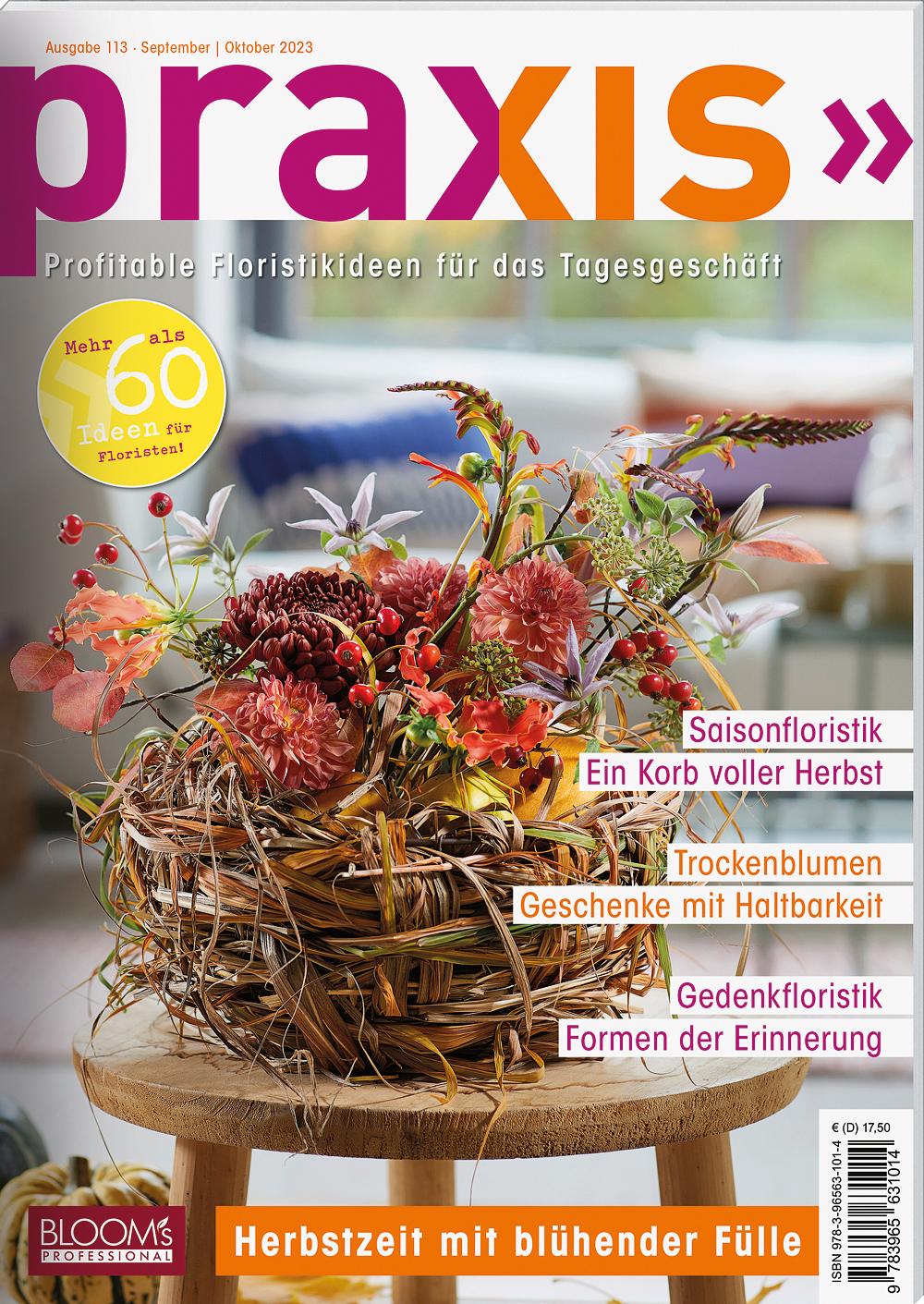 Vorderes Coverbild PRAXIS Nr. 113