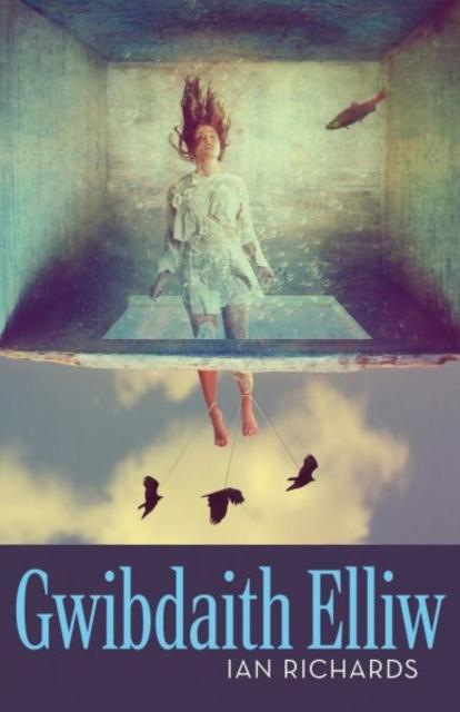 Vorderes Coverbild Gwibdaith Elliw