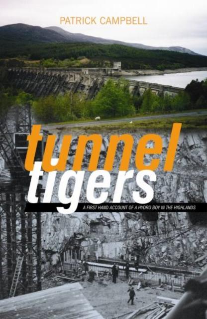 Vorderes Coverbild Tunnel Tigers