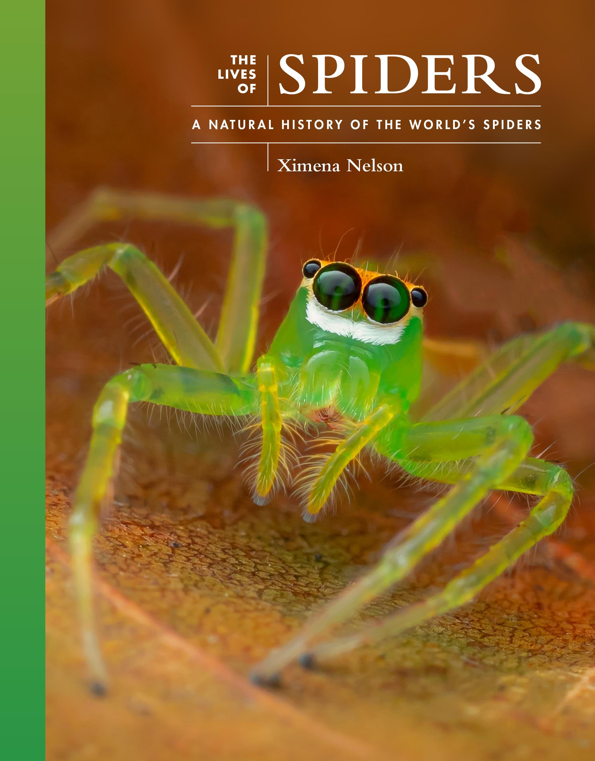 Vorderes Coverbild The Lives of Spiders