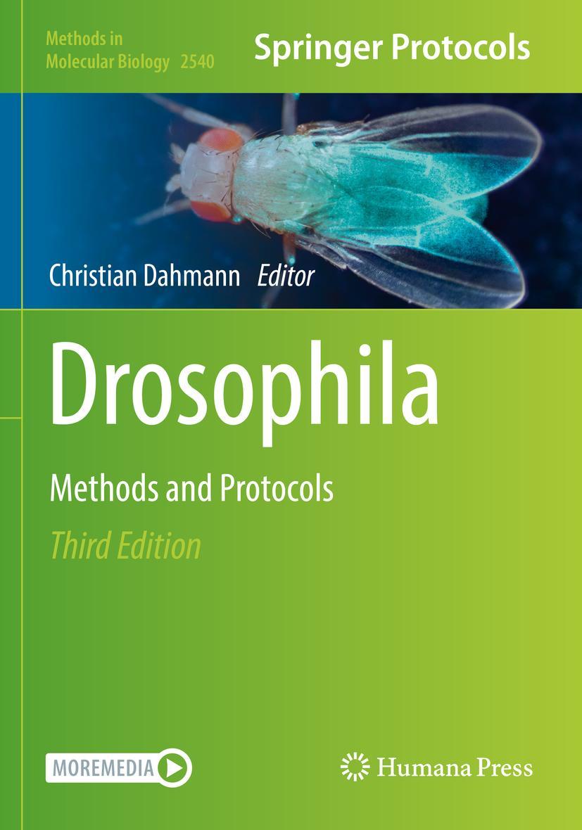 Vorderes Coverbild Drosophila