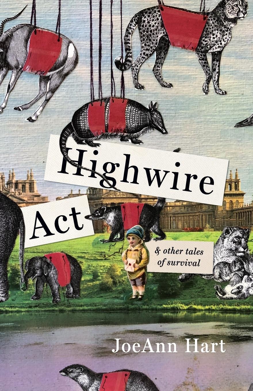 Vorderes Coverbild Highwire Act & Other Tales of Survival