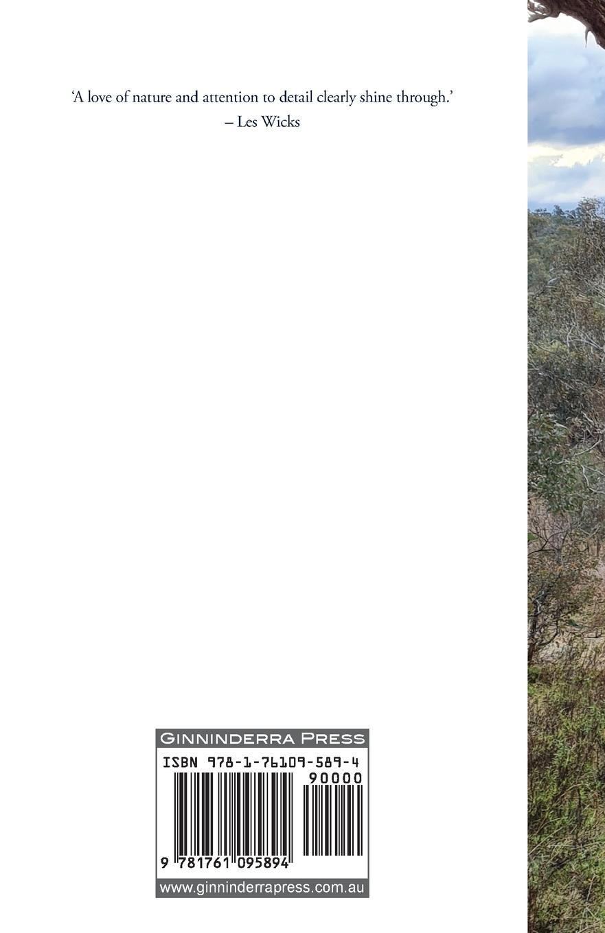 Rückseitencover Along the Forest Corridor