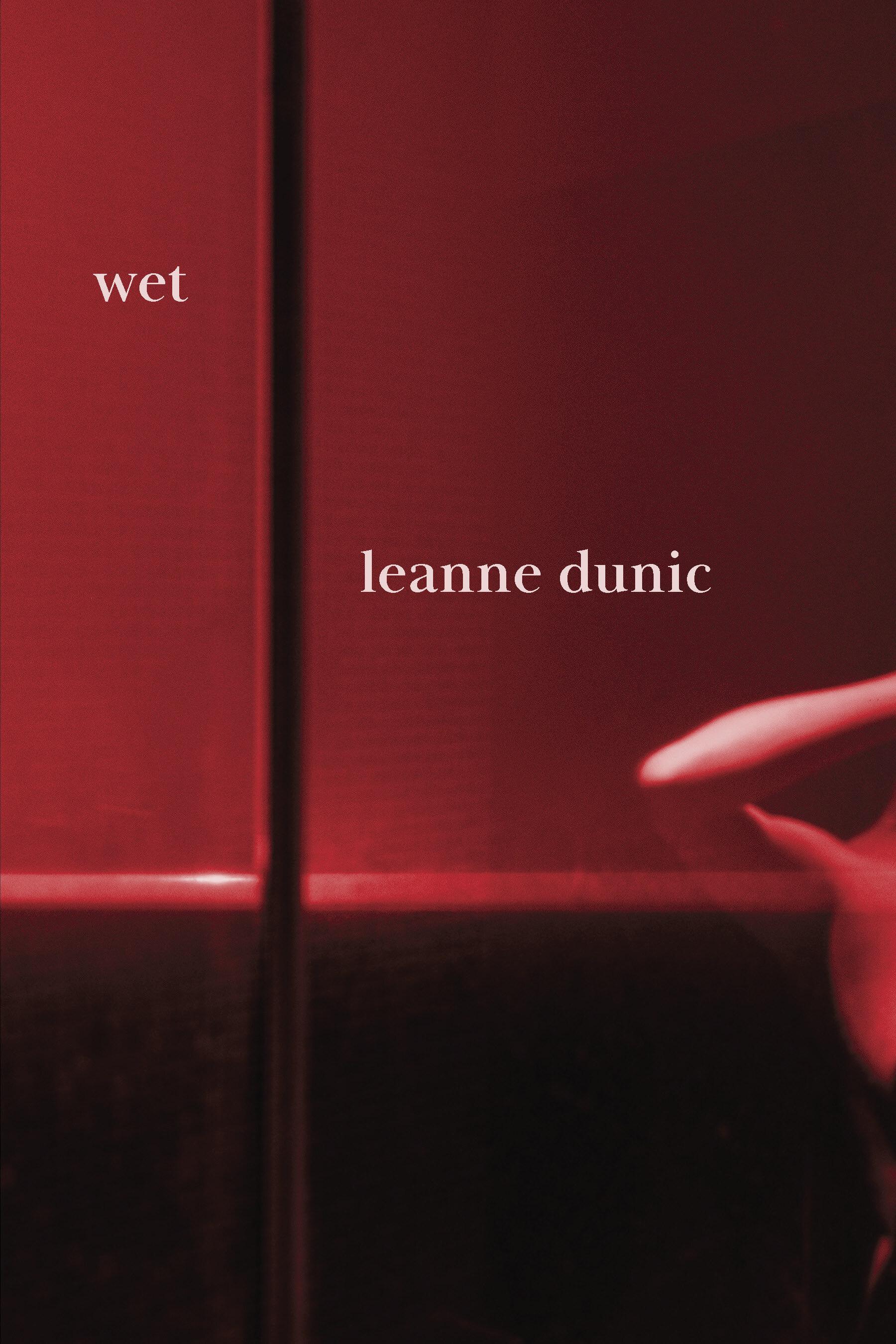 Vorderes Coverbild Wet