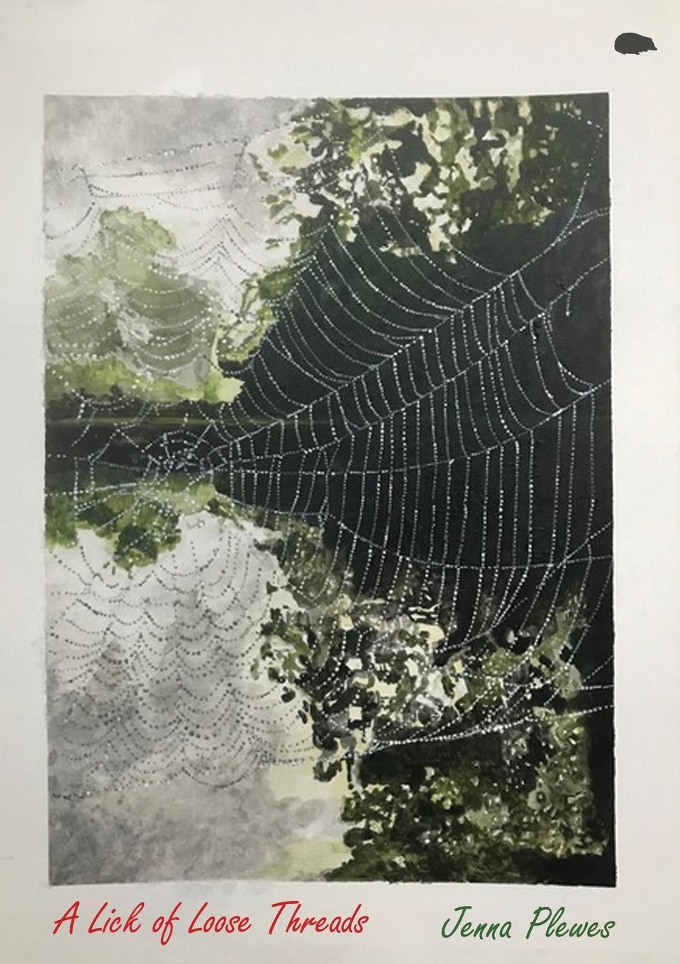 Vorderes Coverbild A Lick of Loose Threads