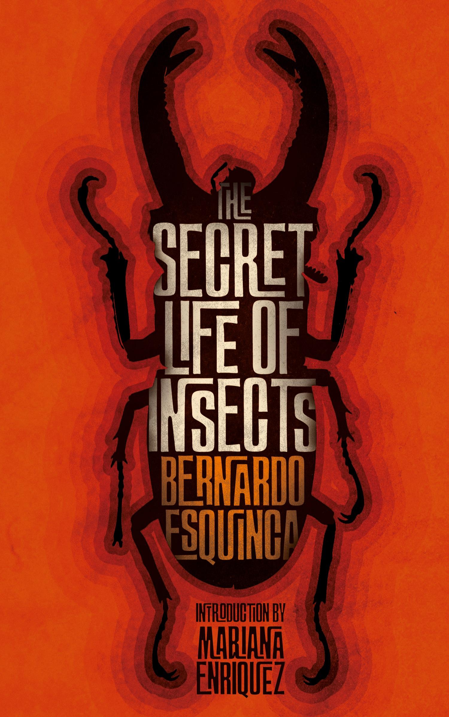 Vorderes Coverbild The Secret Life of Insects and Other Stories