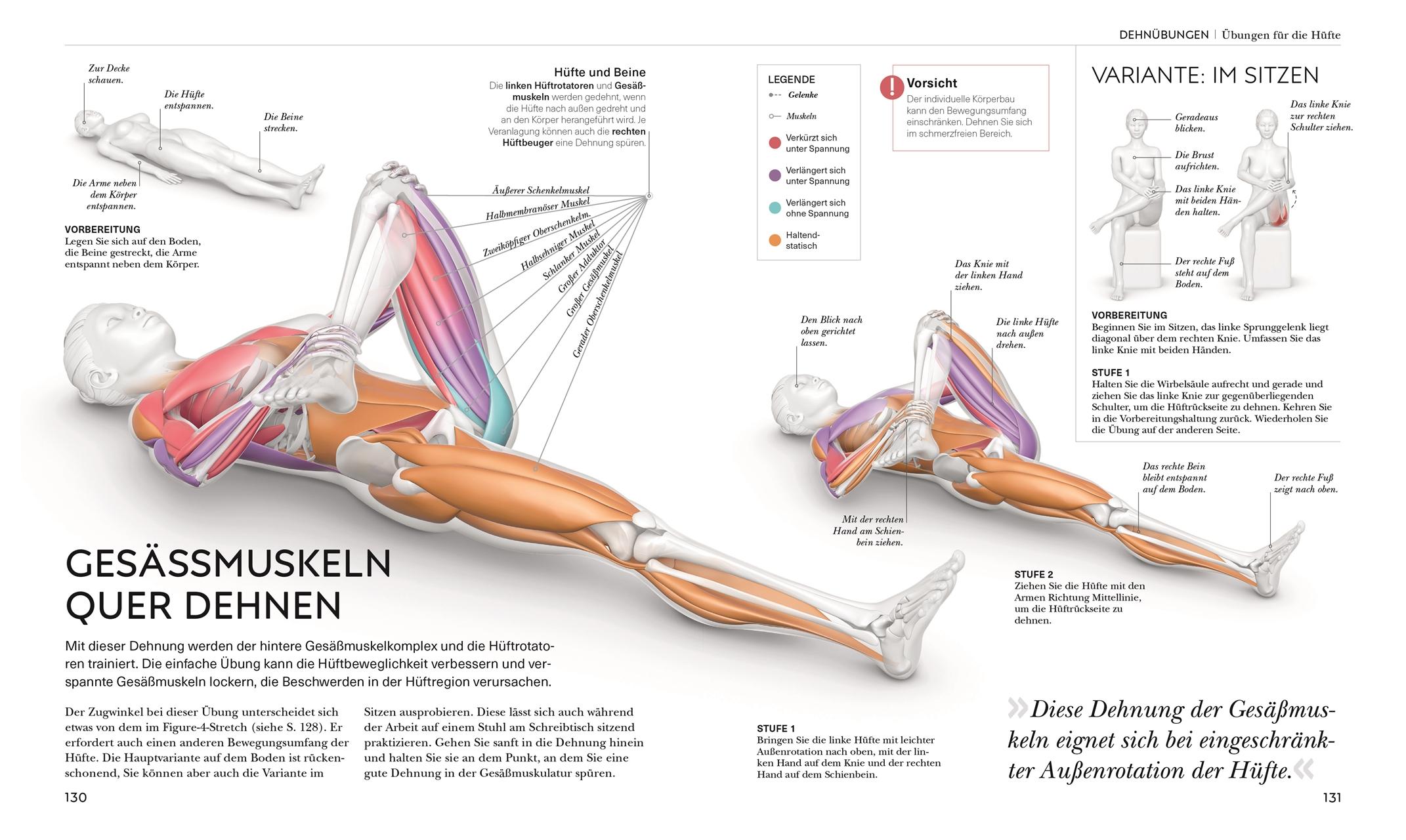 Beispielinhalt (Bild) Stretching - Die Anatomie verstehen