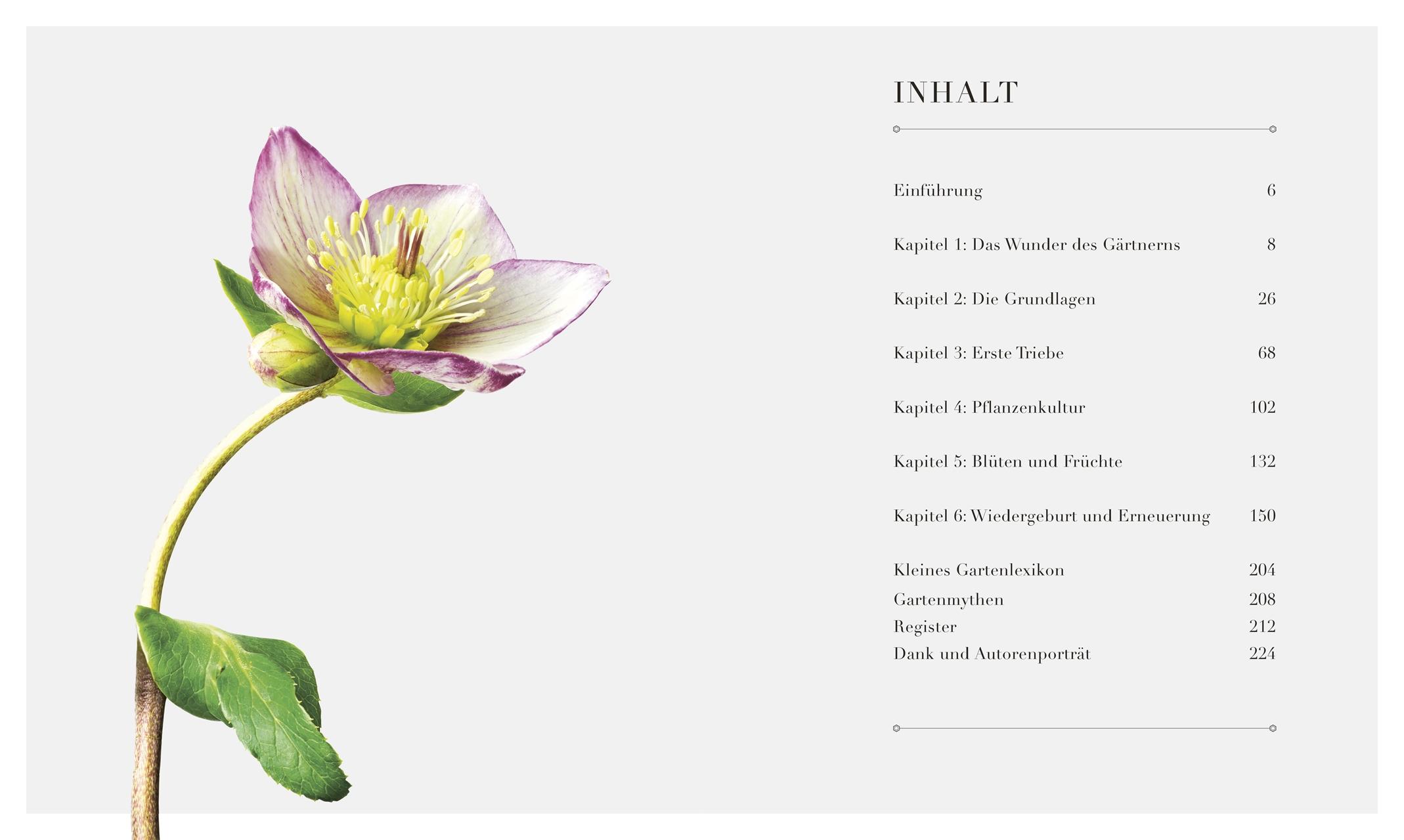 Beispielinhalt (Bild) 100 Fragen und Antworten zum Gärtnern