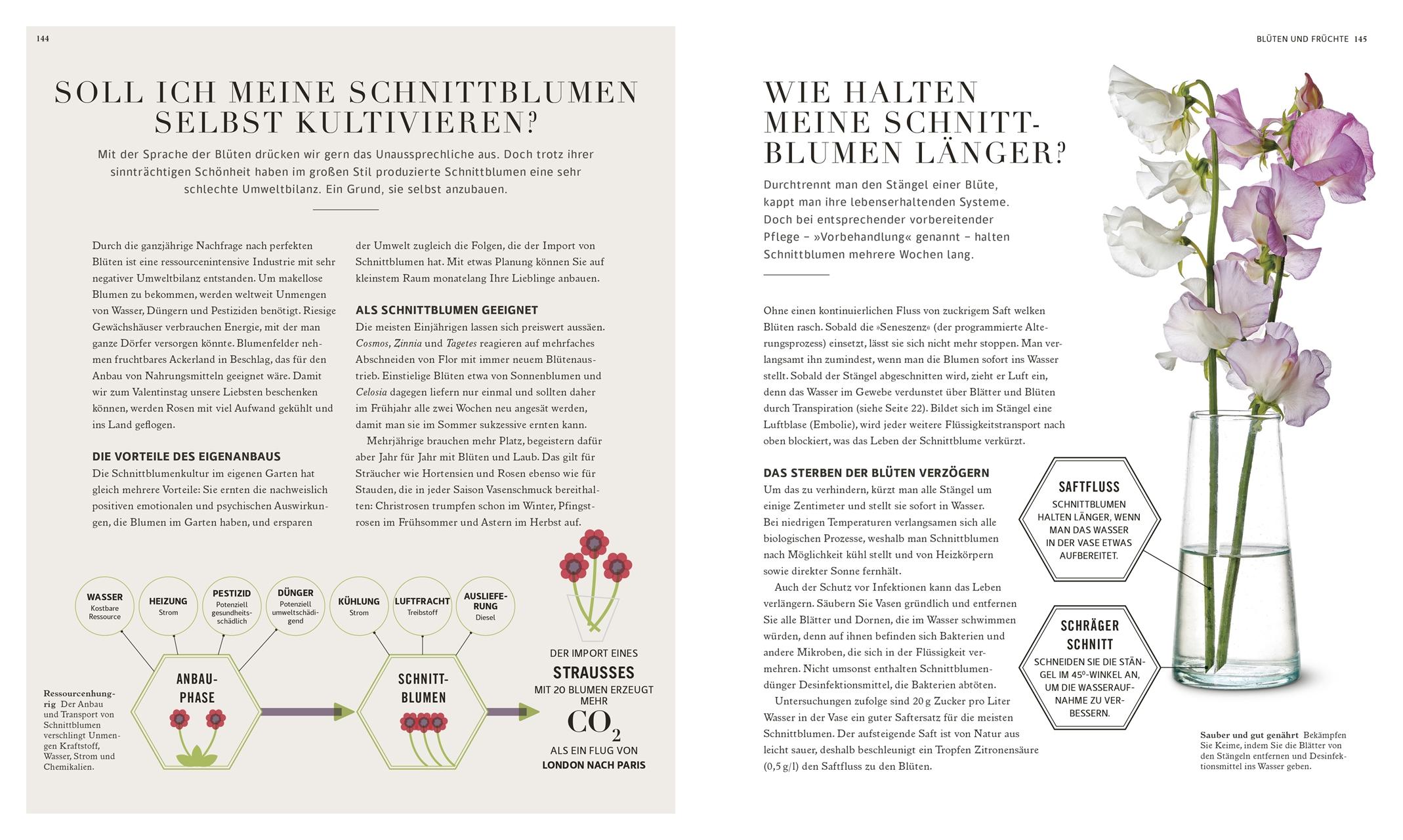 Beispielinhalt (Bild) 100 Fragen und Antworten zum Gärtnern