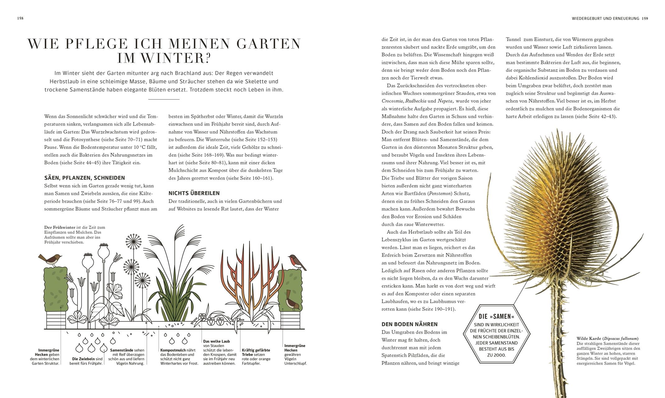Beispielinhalt (Bild) 100 Fragen und Antworten zum Gärtnern